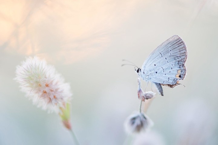 a close up of a tree
